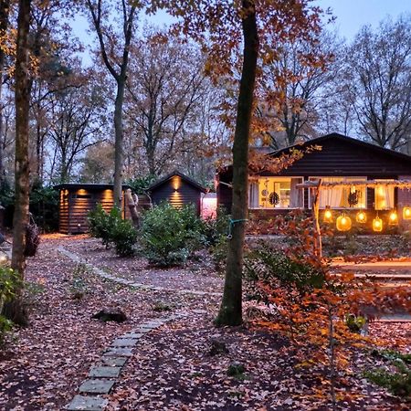 Lodge In Een Bosrijke Omgeving Met Hottub & Sauna Opt Rheezerveen Kültér fotó