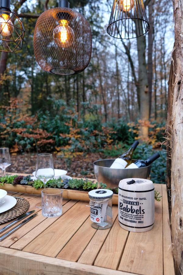 Lodge In Een Bosrijke Omgeving Met Hottub & Sauna Opt Rheezerveen Kültér fotó